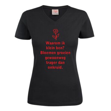 T-shirt waarom ik klein ben