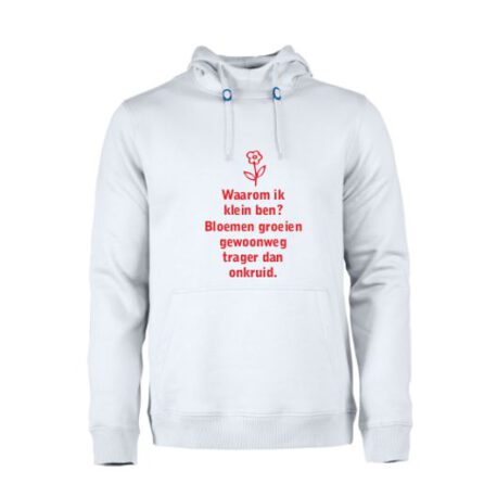 heren hoodie waarom klein