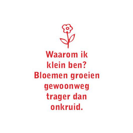hoodie dames waarom klein tekst