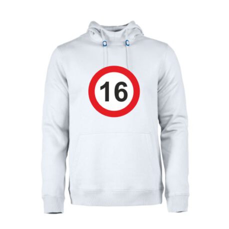 heren hoodie 16