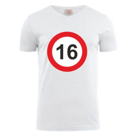 heren shirt 16